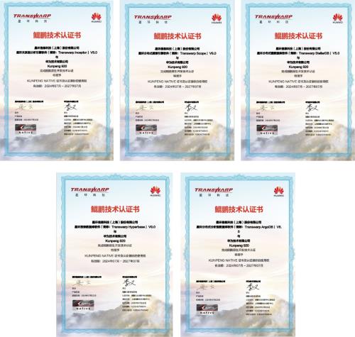 星環(huán)科技基于鯤鵬原生開發(fā) 賦能企業(yè)高效數據處理與軟件開發(fā)