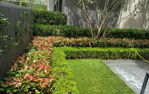 春暖花開，園藏萬象——融創時代奧城園林綠化景觀深度解讀